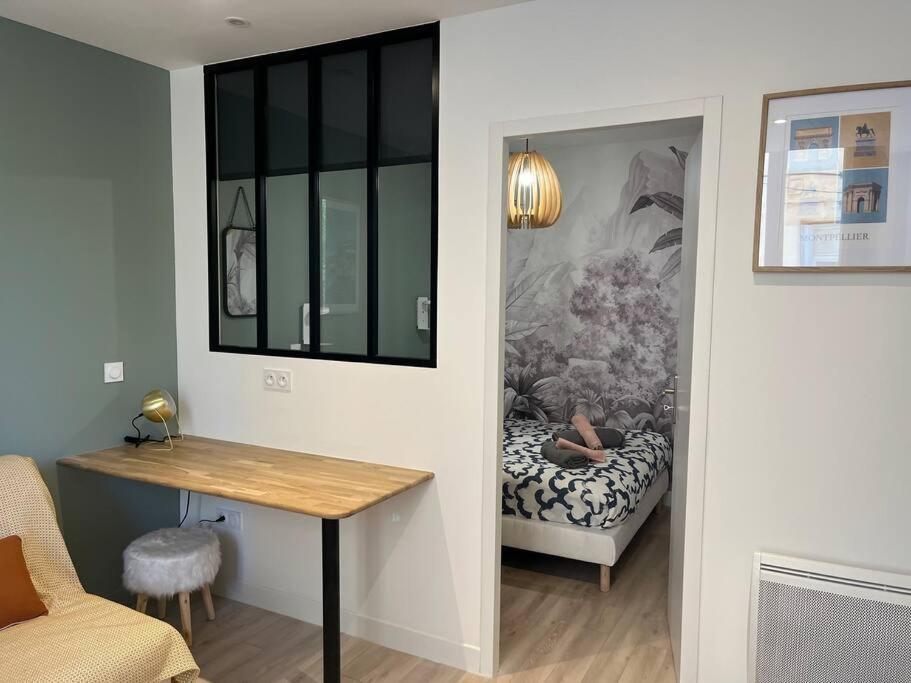 Cocon Ecusson Montpellier Apartment Ngoại thất bức ảnh